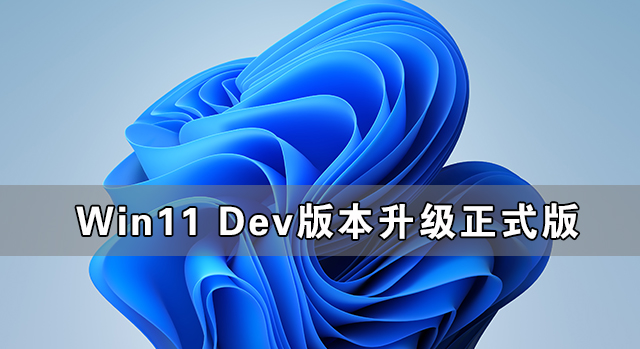 Win11Dev汾ʽ