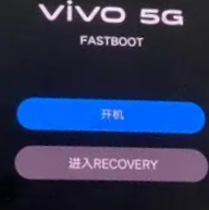 vivo(yng)̵VivoˢCܽ_