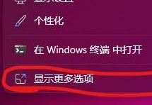 win113dO(sh)Ԕ-1