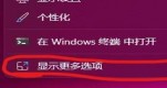 win113dO(sh)Ԕ