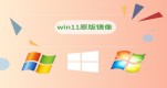 win11Ă(g)汾(wn)Ԕ