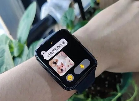 oppowatch4pro׼{Ԕ-1