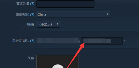 steam~̖idܸĆԔ-6