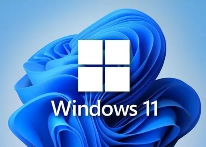 win11D(bio)ô(du)R