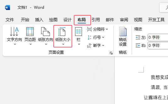 Word2021ΰA4OżС