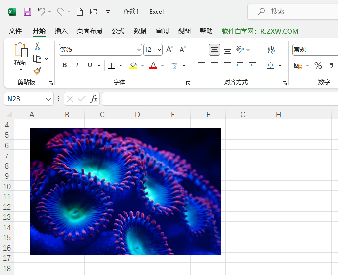 Excel2021ܛôһ׃ɫDƬ5